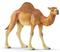 Schleich Wild Life 14832, Dromedary – kuva 1