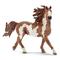 Schleich, pinto-ori – kuva 1