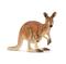 Schleich 14756, kenguru – kuva 1