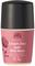 Urtekram Soft Wild Rose Deo - 50 ml – kuva 1