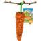 JR FARM Nibbler Carrot Orange 60 g – kuva 1