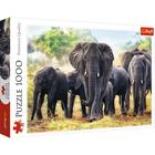 African elephants, Palapeli, 1000 palaa, Trefl