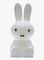 Mr Maria Miffy XL, valaisin – kuva 1