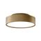 Light-Point - Shadow 2 Kattovalaisin 2700/3000K Brass – kuva 1