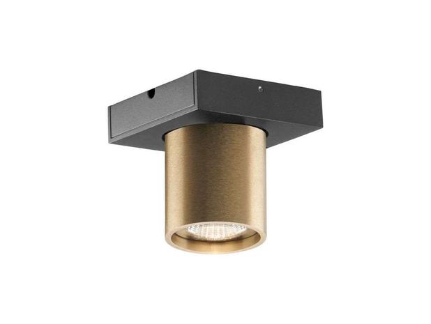 LIGHT-POINT - Focus 1 LED Kattovalaisin 3000K Brass Light-Point – kuva 1/3