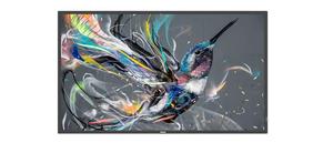 Philips 86BDL3511Q (86"), näyttö