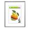 Hama Sevilla Décor - photo frame – kuva 2