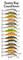 Rapala Scatter Rap CountDown 7 cm vaappu – kuva 2