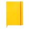 Rhodiarama soft A5 daffodil dot ivory – kuva 2