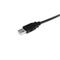 StarTech.com USB 2.0 A to A Cable – kuva 2