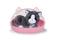Baby Born Kissa – kuva 3