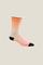 Craft Adv Endur Graphic Sock – kuva 2