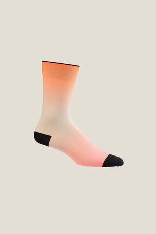 Craft Adv Endur Graphic Sock