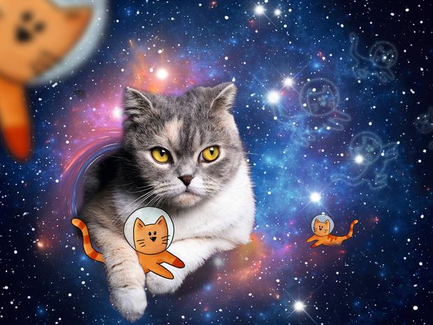 Ravensburger - Puzzle Cats In Space 1500p (12000742)