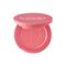 IsaDora Perfect Blush 4.5 gr No. 009 – kuva 7