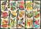 Ravensburger Tropical Butterfly 1000p – kuva 4