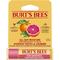 Burt's Bees Lip Balm Pink Grapefruit 4,25g – kuva 2