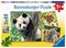 Ravensburger Panda Lion And Tiger 3x49pcs – kuva 8