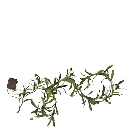 Köynnös Olivec 180 cm – kuva 5/5