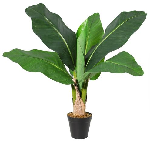 Tekokasvi Banaanipuu, 60 cm – kuva 4/8