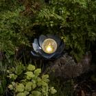 Northlight Lotus Aurinkokennolyhty, lämpimän valkoinen LED, metalli