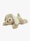 Cloud B - Dream Buddies - Puppy ( CB7472-PP) – kuva 5