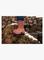 thumb83410354