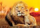 Clementoni Jigsaw Puzzle Super Color Unexpected Hug 180pcs. Lattia