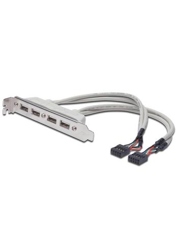 DIGITUS ASSMANN - USB panel - 10 PIN IDC to USB - 25 cm