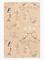 Mermaid Reef Sandy beige - 152-01 Tapetti – kuva 4