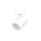 Light Prestige Snow White kattovalaisin – kuva 2