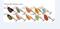 Blue Fox Vibrax Hot Pepper 2 lippa – kuva 7