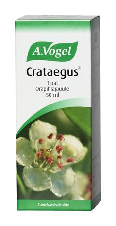 A.Vogel Crataegus