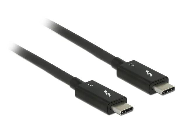 DeLOCK - Thunderbolt cable - 24 pin USB-C to 24 pin USB-C - 2 m
