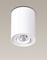 Kattovalaisin Maxlight Basic mallisto valkoinen 1xGU10 C0067 – kuva 1
