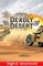 1943 Deadly Desert, PC -peli – kuva 5