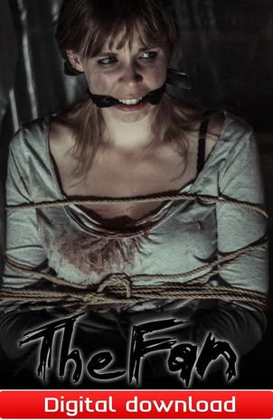 The Fan, PC -peli