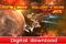 Solar Shifter EX, PC-peli – kuva 4