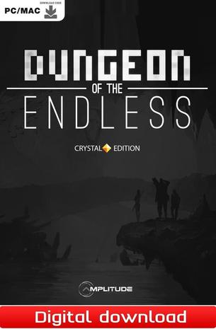 Dungeon of the Endless, PC-peli