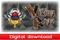 Saga Rage of the Vikings, PC-peli – kuva 5