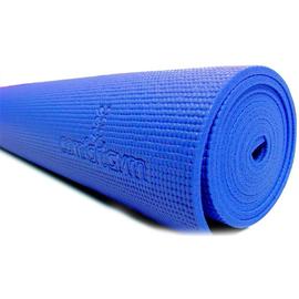 Pavigym