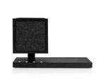 Tivoli Audio Revive, Bluetooth-kaiutin