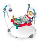 Baby Einstein Sky Explorers 2-in-1 Activity Jumper