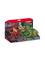 Schleich Fire Saurian vs. Jungle Lizard – kuva 1
