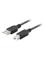 Lanberg - USB cable - USB to USB Type B – kuva 1
