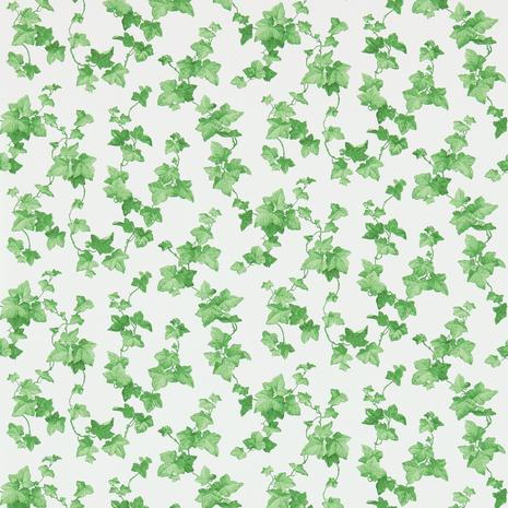 Hedera - 214593" "Tapetti