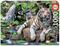 Educa Bengal White Tigers 1000 palaa palapeli – kuva 7
