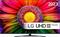 LG 75UR81006 (75"), LED-televisio – kuva 7