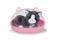 Baby Born Kissa – kuva 4