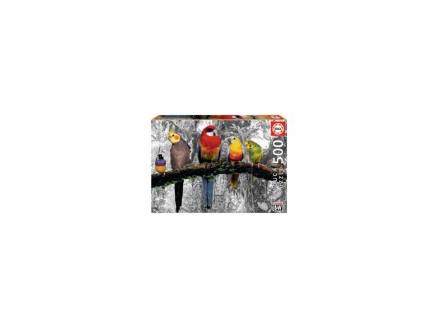 Educa 500 Birds Colour Black & White